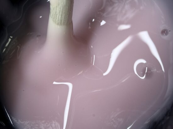 30g BUILDER GEL SMART #2